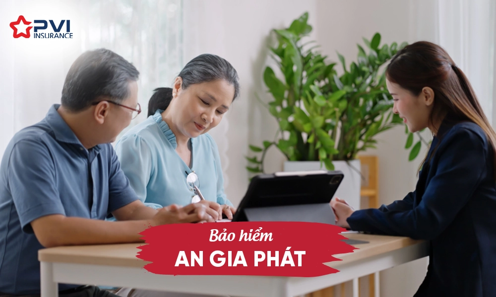 Bảo hiểm An Gia Phát