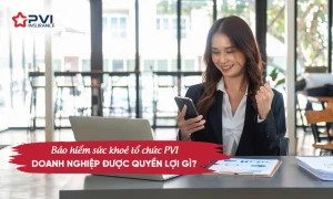 Bảo hiểm sức khỏe tổ chức PVI