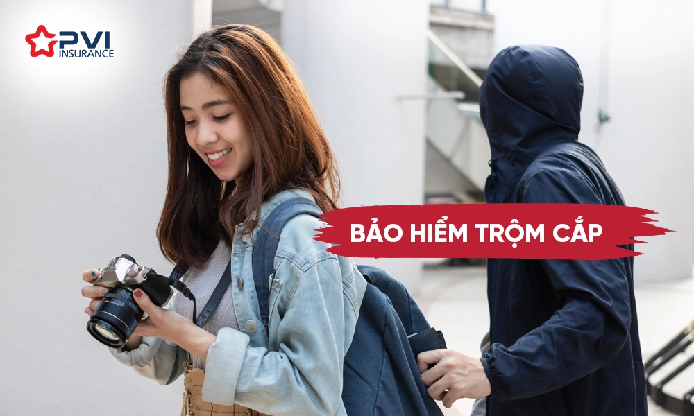 Bảo hiểm trộm cắp PVI